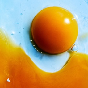 RADWIMPS – Anew あにゅー [2025.10.08] [24Bit/48kHz] [Hi-Res Flac 679MB]