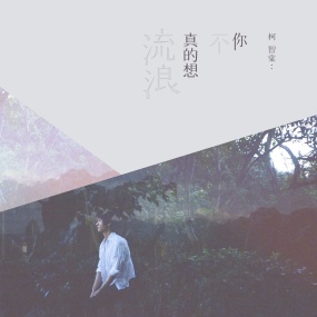 柯智棠 – 你不真的想流浪 2015 [24Bit/96Khz] [Hi-Res Flac 1GB]