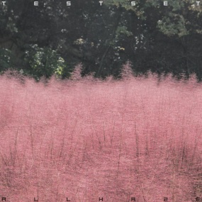 TESTSET – ALL HAZE [2025.10.22] [24Bit/96kHz] [Hi-Res Flac 838MB]