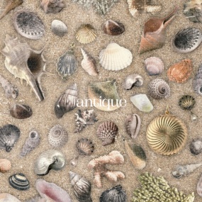 おいしくるメロンパン Oisicle Melonpan – antique [2025] [24Bit/96kHz] [Hi-Res Flac 370MB]