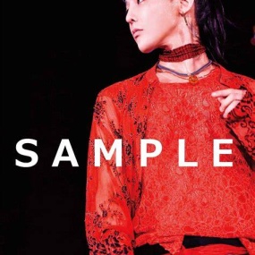 权志龙 G-DRAGON 2017 WORLD TOUR IN JAPAN 2017 [Remux MKV 41.7GB]