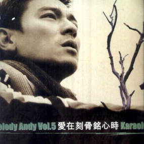 刘德华 – 爱在刻骨铭心时[KTV][MDF4.06GB]