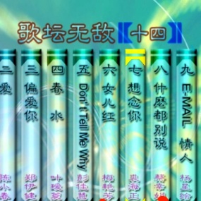 群星 – 歌坛无敌14[KTV][MDF][3.40G]