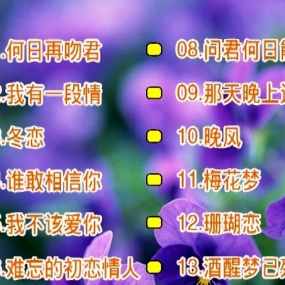 刘秋仪 – 冬恋[KTV][2DVDISO][3.09G+3.17G]