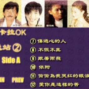 群星 – 波丽佳音2KTV[DVD-ISO3.67G+3.54G]