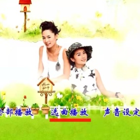 群星 一人一首港台女声精选 碟2 D9 KTV《DVD ISO 7.07G》