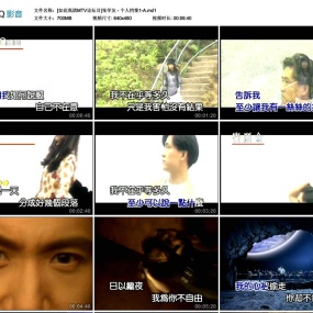 张学友 – 个人档案1KTV][DVDISO4.23G+4.69G]