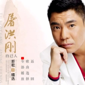 屠洪刚 – 自己人 新曲+精选[DVD-ISO][4.22G]