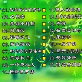 刘珺儿 – 靓人靓歌[KTV][3DVD-ISO][4.02G+4.26G]缺失1