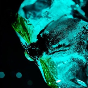 DIR EN GREY – TOUR16-17 FROM DEPRESSION TO ________ [mode of UROBOROS] 2017《BDISO 20.6G》