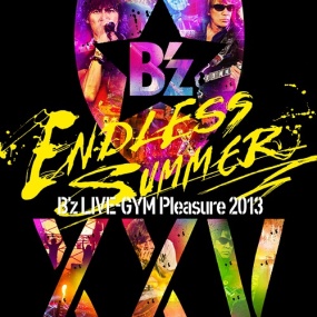 B'z – B'z LIVE-GYM Pleasure 2013 ENDLESS SUMMER -XXV BEST- [2014.01.29]《BDISO 2BD 87.7G》