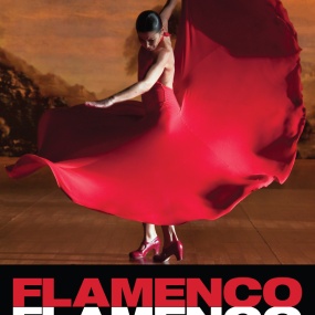 弗拉门戈，弗拉门戈 Flamenco, Flamenco 2010《BDMV 26GB》
