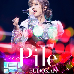 Pile – Pile Live at Budokan 2018《BDMV 42GB》
