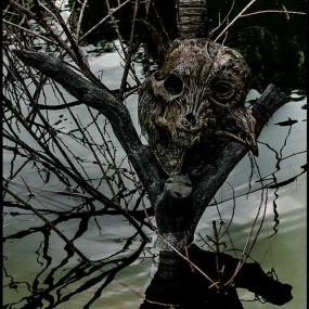 the GazettE – the GazettE LIVE TOUR 13-14 [MAGNIFICENT MALFORMED BOX] FINAL CODA LIVE AT 01.11 YOKOHAMA ARENA 2014《BDISO 34.8GB》