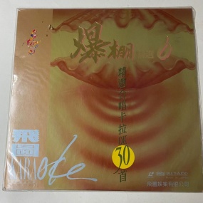 群星- 飞图爆棚06合唱精选卡拉OK [LD转DVD] [4.05G+3.98G]