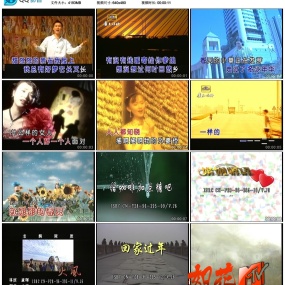 群星 – 中国星MTV金碟2 [LD转DVD] [ISO] [4.10G+4.21G]