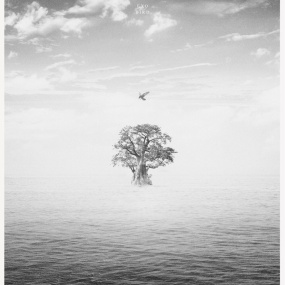 EXO – BIRD 2019 [BDMV 40.7GB]