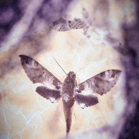 DIR EN GREY – TOUR16-17 FROM DEPRESSION TO [mode of MACABRE] 2018 [BDISO 22.6GB]