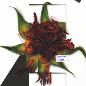 VA – Florilegi I 2024 [24Bit/44.1kHz] [Hi-Res Flac 668MB]