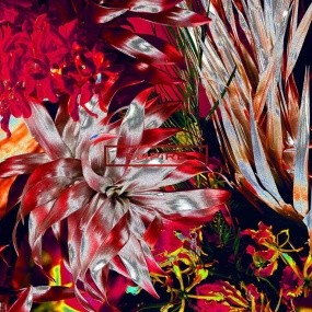 EMPiRE – EMPiRE'S GREATEST PARTY at USEN STUDIO COAST 2021 [BDISO 19.5GB]