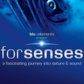 Forsenses – A Fascinating Journey into Nature & Sound 2009 [BDMV 14.3GB]
