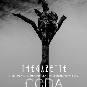 the GazettE – the GazettE LIVE TOUR 13-14 [MAGNIFICENT MALFORMED BOX] FINAL CODA LIVE AT 01.11 YOKOHAMA ARENA 2014 [BDISO 34.8GB]