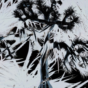 Plastic Tree – Plastic Tree 2024 [24Bit/96kHz] [Hi-Res Flac 1.02GB]