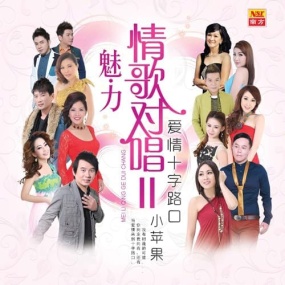 南方群星 – 魅力情歌对唱 VOL.2 卡拉OK 2015 [DVD ISO 3.91GB]