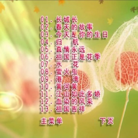 董文华 – 港湾 [KTV] [DVD ISO 4.09GB]