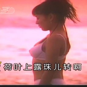 花仙子 – 山地甜歌 第二辑 卡拉OK [DVDrip MP4 3.74GB]
