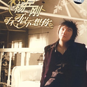 杨臣刚 – 可不可以不想你MV+卡拉OK+CD [DVD ISO 4.30GB]