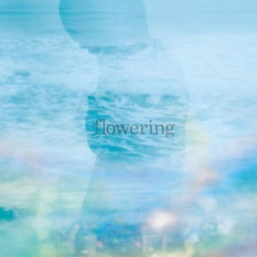 TK from 凛として时雨 flowering 初回限定盘 CD＋DVD [DVD ISO 2.72GB]