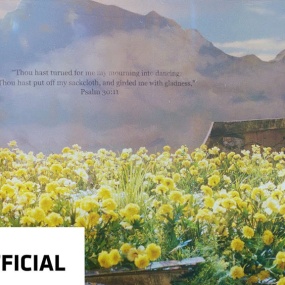 BIGBANG Still Life 4K 2160P [ProRes MOV16.8GB]