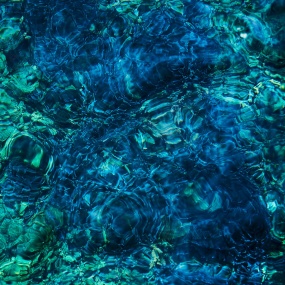 青葉市子 Ichiko Aoba – Luminescent Creatures 2025 [24Bit/48kHz] [Hi-Res Flac 361MB]