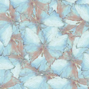 yeti let you notice – hontounokoto 2025 [24Bit/48kHz] [Hi-Res Flac 341MB]