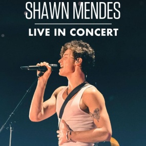 肖恩·门德斯：巡回演唱会纪实 Shawn Mendes Live in Concert 2020 [WEB-DL MKV 10.3GB]