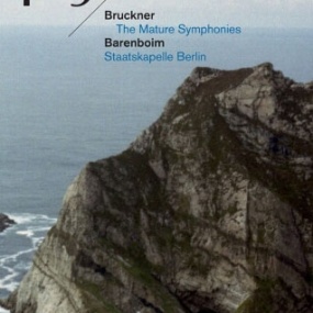 布鲁克纳成熟交响曲合集5-9 Anton Bruckner The Mature Symphonies Nos.5-9 巴伦博伊姆 柏林爱乐乐团 2010 [BDISO 5BD 97.7GB]