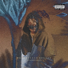 清水翔太 Shota Shimizu – Pulsatilla cernua [2025.06.17] [24Bit/96kHz] [Hi-Res Flac 707MB]